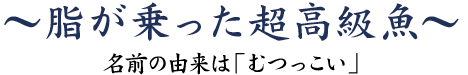 脂が乗った超高級魚~名前の由来は「むつっこい」