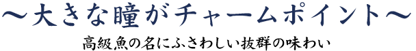 大きな瞳がチャームポイント~高級魚の名にふさわしい抜群の味わい~