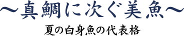 スズキ 真鯛に次ぐ美魚 ~夏の白身魚の代表格~
