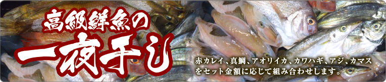 高級鮮魚の一夜干し