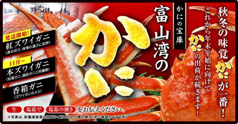 秋冬の味覚！富山湾のかに