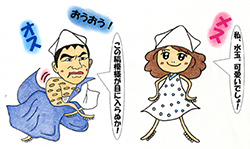 アオリイカの雌雄見分け方